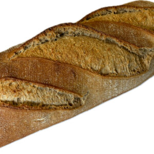 COMPLET 290GX16 PRECUIT